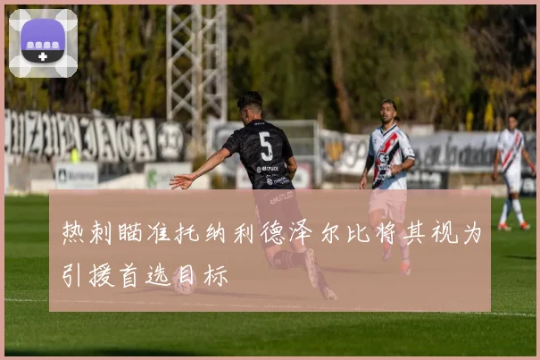热刺瞄准托纳利德泽尔比将其视为引援首选目标