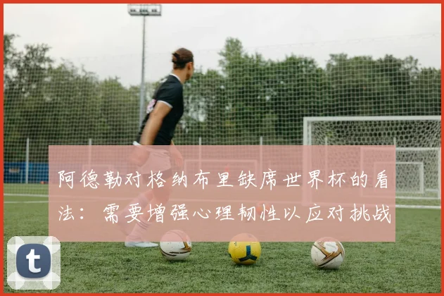 阿德勒对格纳布里缺席世界杯的看法：需要增强心理韧性以应对挑战